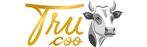 Alefox HTML